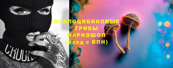 соль ск Алзамай