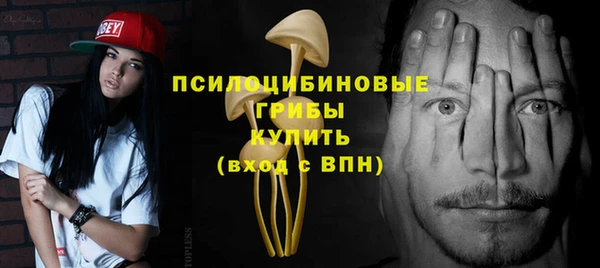 ECSTASY Абаза