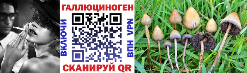 Галлюциногенные грибы мухоморы  Нерехта 